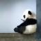 追风筝的人