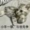 且随疾风前行
