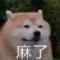 YY
