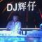 DJ辉仔