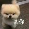 昨日之日不可追
