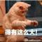 狠绝色