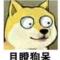 中国著名眼科专家