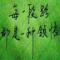 小二来一桶后悔药