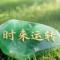 明天会更好