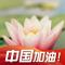 暖风徐徐