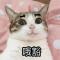 太一眞人