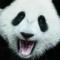 且听风吟