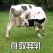 王铁锤