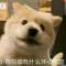 我饿了