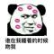 快乐的小八