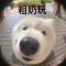 快点快点