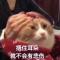 柠汐上司