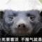 知足常乐