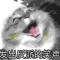 猴氏自研