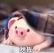 jiemi_cy001