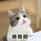 还有这功能