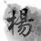  至尊杨少