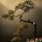 丝露花雨