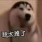 旺柴