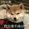 胡萝卜青菜萝卜