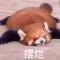小明