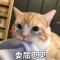 噼里啪啦小黑