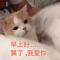 了无痕