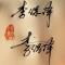 李保泽ansheng