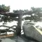 mimiweizhuang