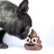 匆匆流年