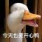鹅鹅鹅鹅鹅鹅鹅