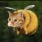 杰哥杰大家看到