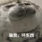 阿库拉马塔塔