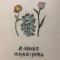 多肉动物喔