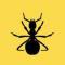 Ant