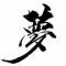 放飞梦想