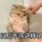 以后不许这样了