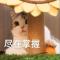 鬼脸鬼鬼
