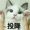 和光同尘