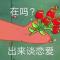 有点缺流量