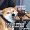 谭魏