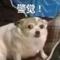 为什么追的文都断更QAQ受不了了