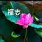 福志