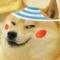 DOGE