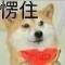 贾易凡6868