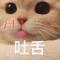 tb378528758
