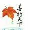 饶哥