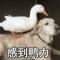 余额不足