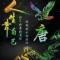前程似锦